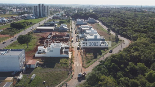 Imagem 3 de 7 de Terreno, 300 M², Igara - 218784
