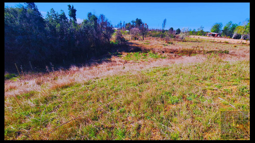 Parcela 1 Ha . En Colico Bajo Sta. Juana (73597)