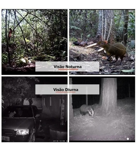 Cámara de caza, visión nocturna, camuflaje, color verde, trampa fotográfica