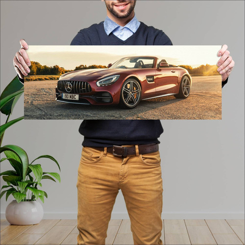 Cuadro 30x80cm Auto 2017 Mercedes Amg Gt C Roads 801