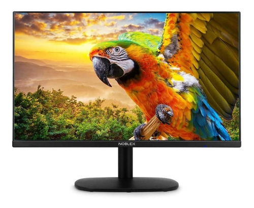 Imagen 1 de 6 de Monitor Noblex Mk24x7100 24 Negro