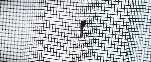 Puerta Mosquitera Magnética, 39 X 83 Pulgadas, Fibra De Vidr