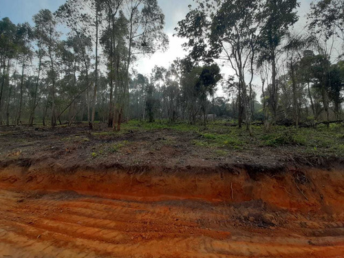 Imagem 4 de 10 de Compre Agora, Terreno No Interior De São Paulo