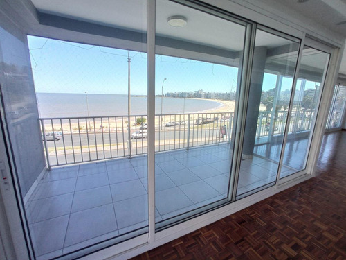 Imagen 3 de 18 de Apartamento - Rambla Y Pereira De La Luz, 200 M2 , Gge * 2 , Box , Reciclado !!