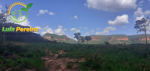 Imagem 1 de 14 de Fazenda À Venda No Alto Parnaíba - Ma De 6.377 Hectares (dupla Aptidão) - 1795