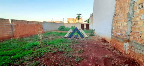 Imagem 11 de 15 de Terreno À Venda, 262,5 M² Por R$ 150.000 - Jardim Maria Luiza - Londrina/pr - Te0663