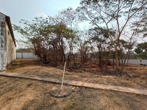 Imagem 28 de 30 de Barracão Com Amplo Terreno A 200 Metros Da Feb - 23824