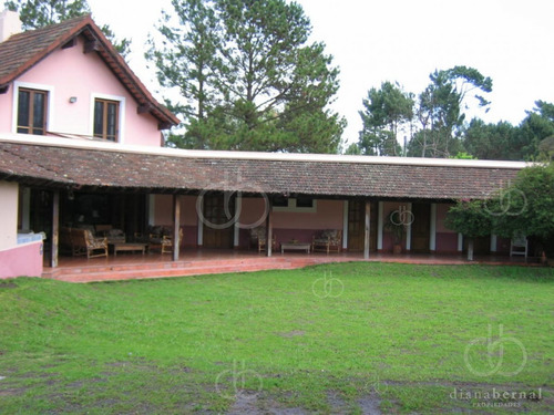Imagen 4 de 29 de Punta Del Este, Chalet Con Gran Jardín, 4 Dormitorios Y Piscina-