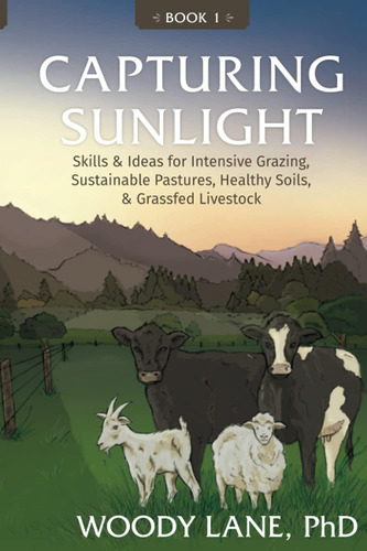 Libro: Capturing Sunlight, Book 1: Skills & Ideas For Intens
