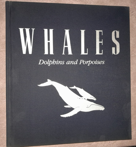 Whales Dolphins And Porpoises - National Geographic Society