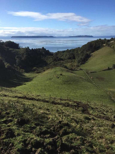 Vista Frente Al Mar, Cordillera E Islas  (27121)