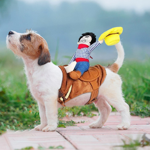 Perro Equitación Vaquero Traje Estilo Jinete Diseño Vestido