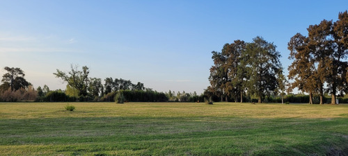 Imagen 5 de 11 de Terreno Lote En Venta En Alejandro Petion Cañuelas - Financiación - Oportunidad