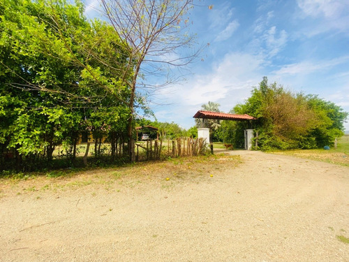Imagen 11 de 15 de Property For Sale!!! 20 Hectareas