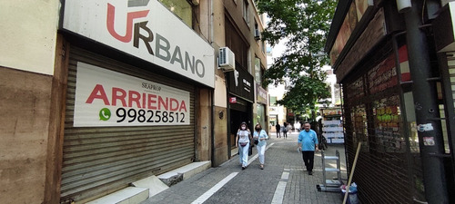 Arriendo Magnifico Local Matías Cousiño-moneda