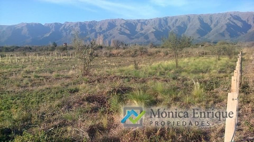 Lote De 2000m2 En Cerro De Oro, Villa De Merlo Acceso Por Granadilla