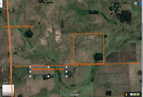 Campo De 16 Hectáreas, A 14 Kms De San Jacinto