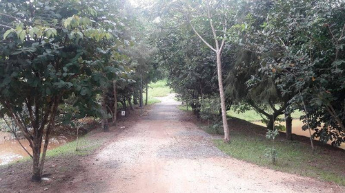 Imagem 19 de 30 de Terreno À Venda, 1300 M² Por R$ 169.000,00 - Jardim São Gabriel - Jacareí/sp - Te0476