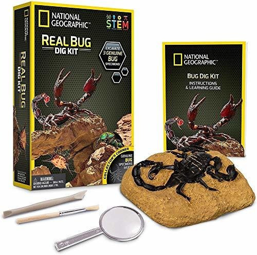 National Geographic Real Bug Dig Kit - Dig Hasta 3 Insectos 