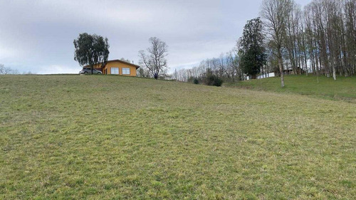 Vendo Campo 6 Ha Con Casa Camino Huichahue (66896)