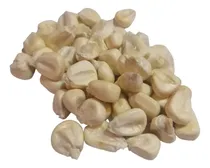 Comprar Bulto 10 Kilos Semilla Maíz Cacahuazintle Cacahuazentle Crio