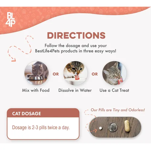 Tratamiento Natural Para Ácaros Del Oído En Gatos