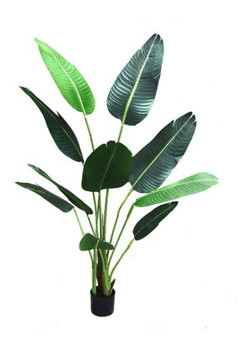 Planta Artificial Grande Banano Ave De Paraíso 1.60