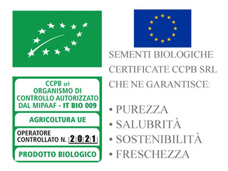 Comedero Automático Alimentador De Aditivo De Achicoria Bio Comedero Automático Alimentador De Aditivo De Achicoria Bio