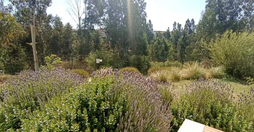 Espacio Tranquilo, Bello Entorno Y Depa, Comodidad, Amoblado