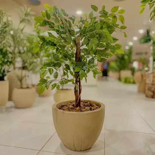 Planta Ficus Artificial 96cm Vaso Plástico Decoração Real Verde