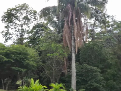 Venta De Lotes - Conjunto San Jeronimo - Anapoima C/marca