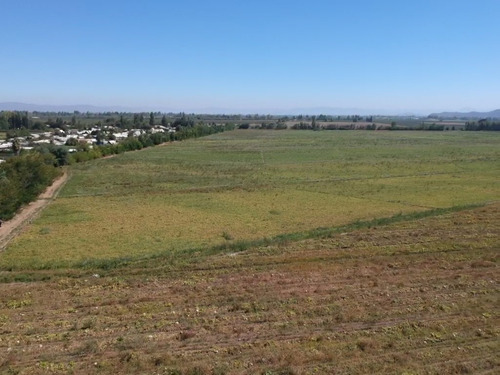 Prop. Agrícola Y Dchos Agua En Los Niches Lic. Remate 3-mayo