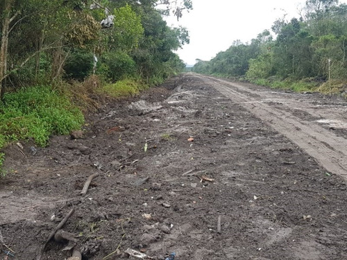Imagem 2 de 9 de Lote No Jardim Fenix, Em Itanhaém, Analisa Proposta À Vista
