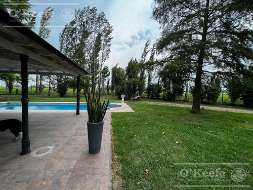 Imagen 11 de 30 de Chacra En Venta De 17 Has En San Andres De Giles. Excelente Casco