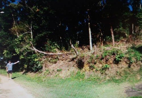 Terreno Venda Caraguatatuba - Sp - Cocanha - 4123