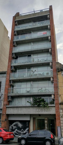 Imagen 7 de 16 de Departamento - Colegiales