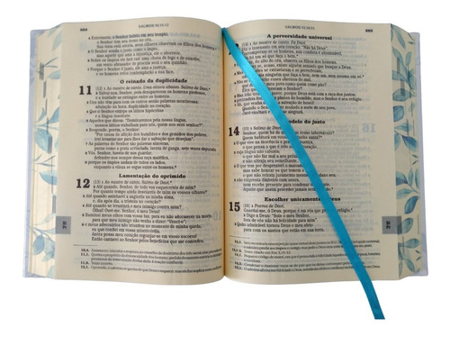 Kit Bíblia Católica Terço Nossa Senhora De Lourdes Sagrada Ave-maria Capa Flores Cristão Crucifixo