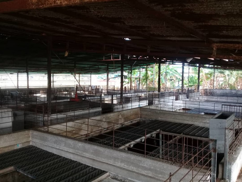 Imagen 9 de 14 de Finca En Tinaquillo . Edo Cojedes Glira