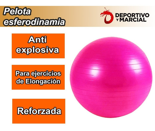 Pelota Esferodinamia 55 Cm Reforzada Gym Ball Pilates Yoga
