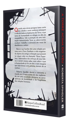 A Torre Acima Do Veu, de Spindler, Roberta. Editorial Editora Pitaya, capa mole, edição 1 em português, 2023