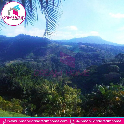 Imagen 6 de 12 de Terreno Carretera Cua - San Casimiro