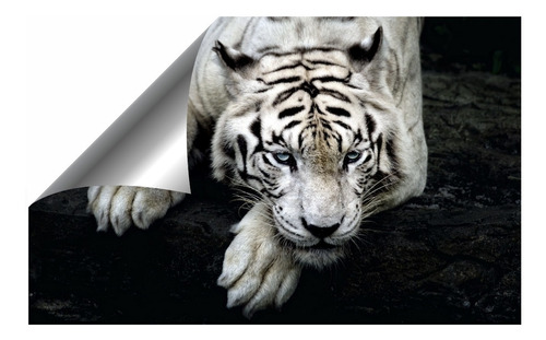 Papel Parede Adesivo Vinílico Tigre Branco 2,80 X 3,50