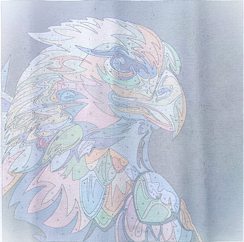 Imagen 3 de 10 de Cuadro/pintura Rellenando Números 30x30 Cm Aguila