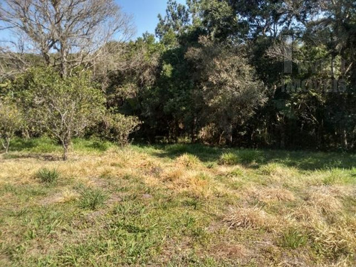 Imagem 12 de 15 de Cod 5906 - Chácara Com Riacho, Medindo 4.700 M² - 5906