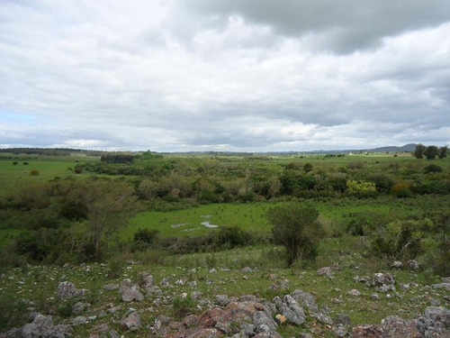 Campo En Venta En Lavalleja. 37 Hectáreas.