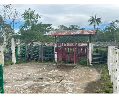 Vendo Gran Finca En Guamal Meta