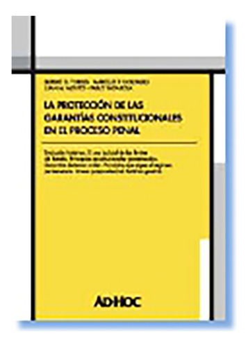 La Proteccion De Las Garantias Constitucionales En El Proces