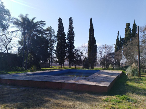 Imagen 4 de 30 de Quinta - Guiñazu