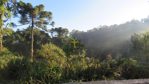 Imagem 4 de 13 de Terreno A Venda Jardim Dos Pinheiros Ii - 864