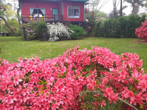 Hermosa Casa De Alquiler Temporario En El Delta Del Tigre 